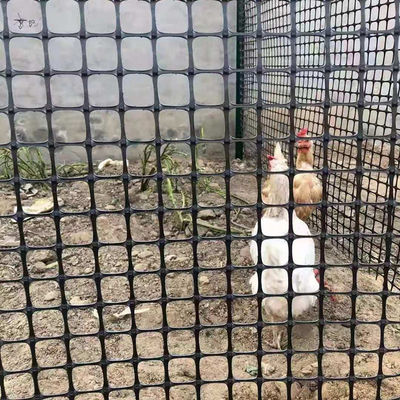 農場フェンシング用PP・バイアキシアル・ジオグリッド 現地検査と性能保証