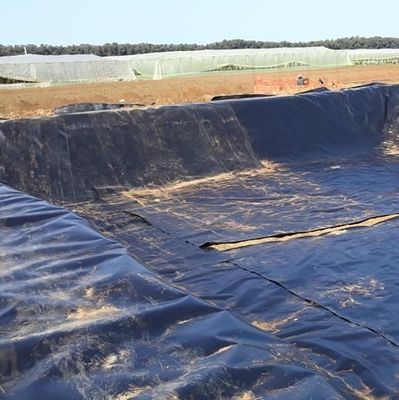 他の地域におけるアジアデザインの池の壁面のための長期耐久性HDPEジオメムラン