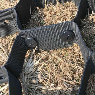 高さ100mmの砂石安定化ジオセルソリューションで壁の安定性を向上させる