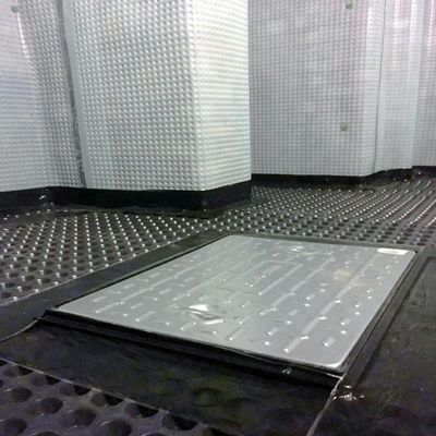 バイアキシアルポリエステル ジオグリッド80-80 道路床固化のためのPET 0.2mm-4mm厚さ