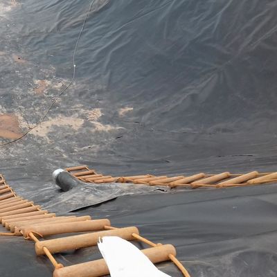 LDPE LLDPE HDPE プラスチック魚池防水膜 0.5mm HDPE 地膜シート m2