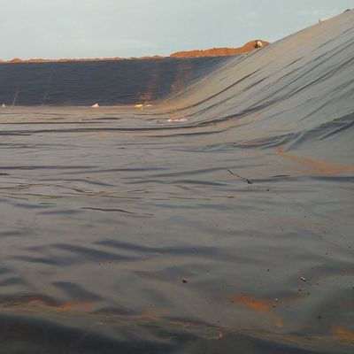 LDPE LLDPE HDPE プラスチック魚池防水膜 0.5mm HDPE 地膜シート m2