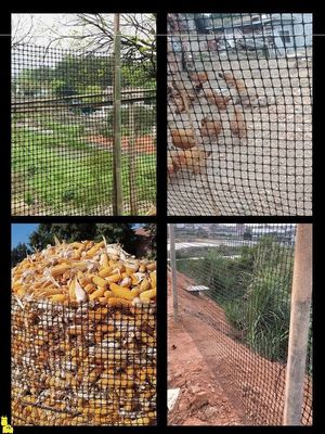 繁殖鶏にとって不可欠な通常の黒色バイアキシアルジオグリッド 道路床のプラスチックフェンス
