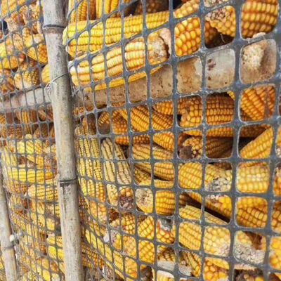 繁殖鶏にとって不可欠な通常の黒色バイアキシアルジオグリッド 道路床のプラスチックフェンス