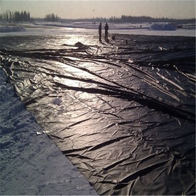 現代のデザインスタイル インド製 HDPE 地膜 1mm 魚の池のラインナー