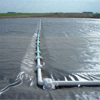 現代のデザインスタイル インド製 HDPE 地膜 1mm 魚の池のラインナー