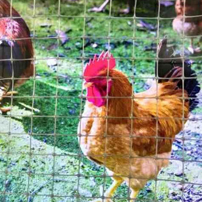 中国デザインスタイル 鶏の道路床の道路床の負荷容量のための二軸地格網フェンス