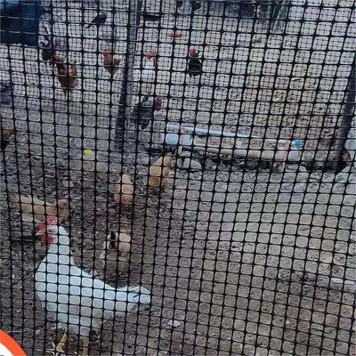 中国デザインスタイル 鶏の道路床の道路床の負荷容量のための二軸地格網フェンス