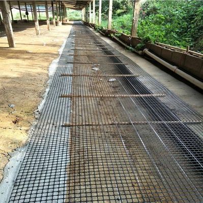 中国デザインスタイル 鶏の道路床の道路床の負荷容量のための二軸地格網フェンス