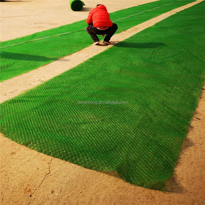2m HDPE ジオマット 斜面保護と草の侵食制御 B2B 購入者の選択