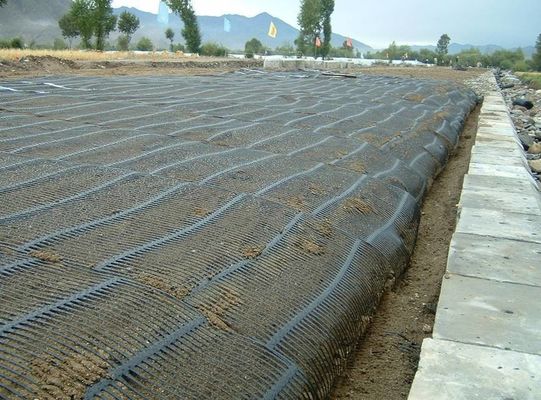 地図網 CE/ISO9001 認証 50Kn/m 斜面保護 土壌セル PP HDPE プラスチック 単軸地図網