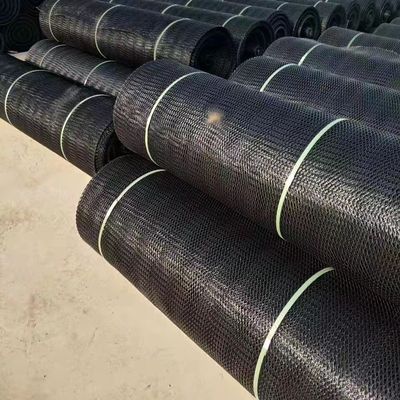 標準 50m 長さ エロージョン制御 地合成 顧客要求のためのプラスチック網