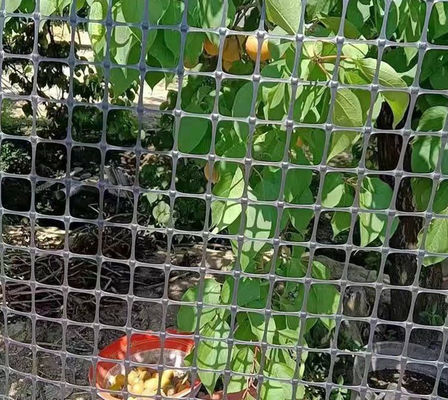 倉庫内の鶏とアヒルの囲みのための黒い双方向地網プラスチック網