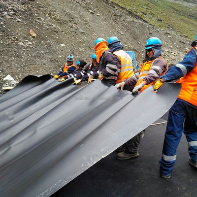 中国デザインスタイル 1.0mm 滑らかな表面 HDPE 黒のゲオメムランロール