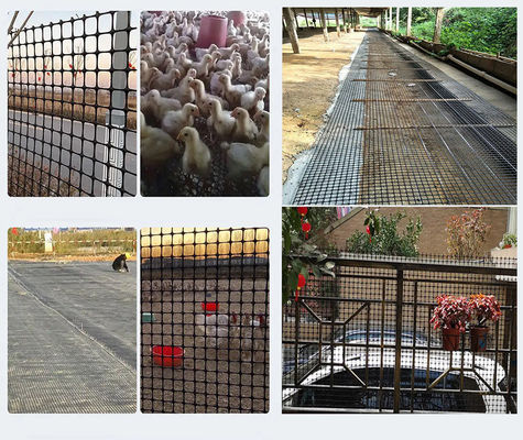 ポリプロピレン バイアキシアル ジオグリッド 30-30 PP 道路強化建設用ジオグリッド