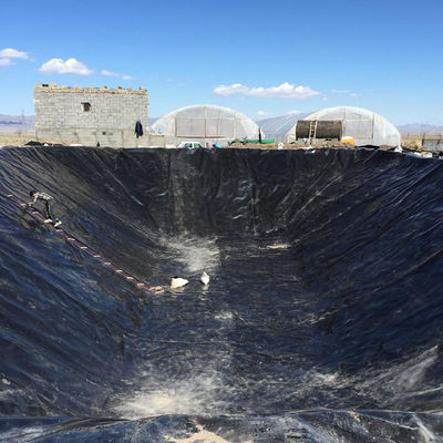 現代のデザインスタイル 40ミリまたは1ミリ スムーズジオメムラン HDPE プールラインナー 現場訓練