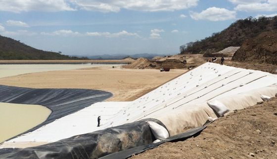 30m 普通の長さ 黒 地合成粘土 敷き布団 ゴミ捨て場用 防水システム