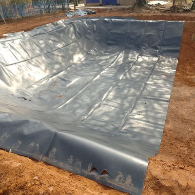 1.0mm HDPE ゲオメムラン 池面 現代のデザイン スタイル インドネシア 魚類 シュリンプ 池