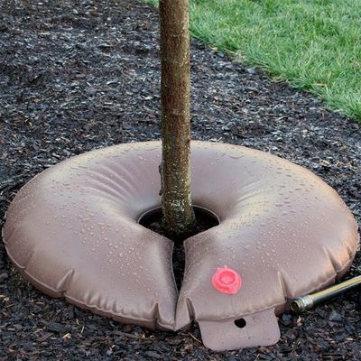 便利な木の灌輸ソリューション 新しく植えた木のためのPVC滴水灌輸袋