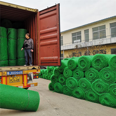 CE/ISO9001/ISO14001 認証されたプラスチック 3D 植生網 斜面保護用の草地舗装機
