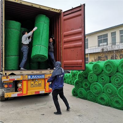 中国デザイン 3D HDPE 地質マット 斜面保護用エム2 エム3 エム4 エム5