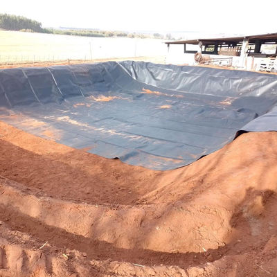 山東 HDPE 地膜 0.5mm 池のリナー 魚場 ポンドプール埋立地