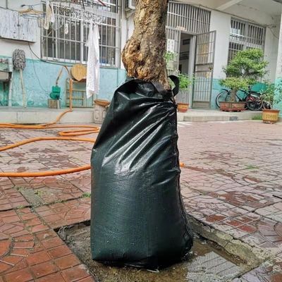 樹木 の 灌?? 袋 滴水 灌?? システム 水 を 節約 し,根 の 発達 を 支援 する