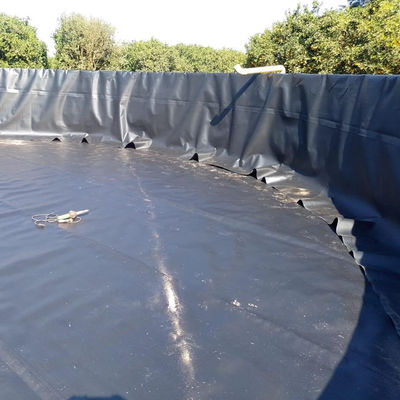 100% 純 HDPE LLDPE 魚池 防水 地膜 HDPE ロール 養魚用