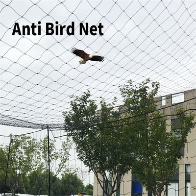 園の果樹園で鶏のための鳥対策網 BOP PP プラスチック 2cm メッシュ