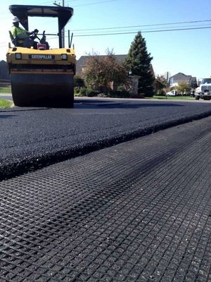 ガレージシェード 建設 バザルト 強化 ガラス繊維 ジオグリッド 長さ50~200m