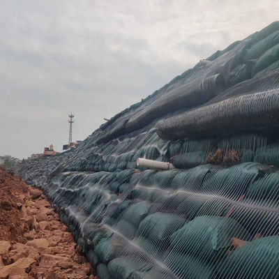 50m 長さ HDPE/PP 固定構造の強化のための単軸プラスチックジオグリッド