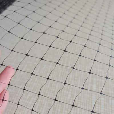 1.5cm メッシュ 27gsm PP ぶどうや果樹のための鳥対策網 オーダーメイドの長さ