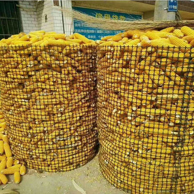 CE/ISO 承認 道路建設のための中国デザインスタイルのためのPP双軸プラスチックジオグリッド