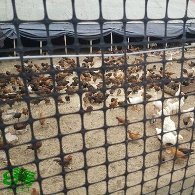 黒地質繊維 織物のない二軸プラスチック地質グリッド 縫合された防裂地質グリッド