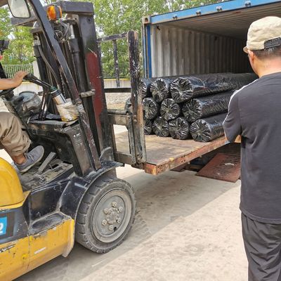 50KNビツン覆いガラス繊維のジオグリッド 道路補強のための必須製品