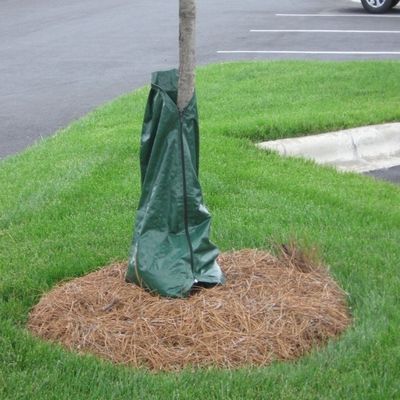 20 ガロンの屋外灌木植物の灌木袋 緩やかに放出する滴滴浸水器とCE/ISO