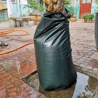 20 ガロン ゆっくり 放出 濃い緑色 PE PVC 樹木 の 灌水を 効果 的 に する バッグ